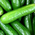 cucumber