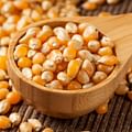 corn kernels