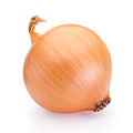 large onion