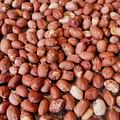 peanuts